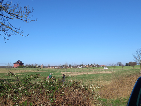 Koeln Immendorf